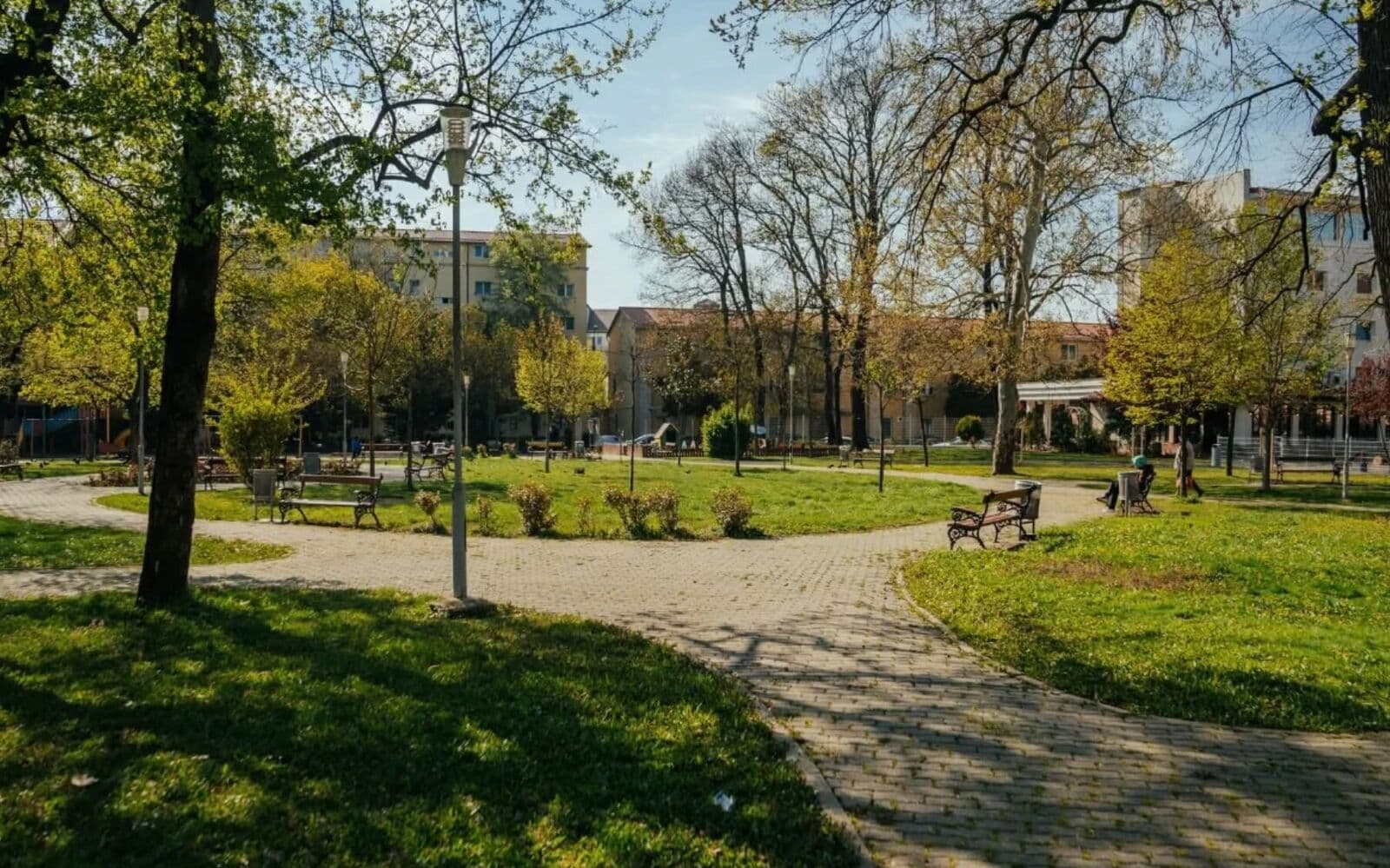 Alee într-un parc cu gazon și copaci, în lumina după-amiezii