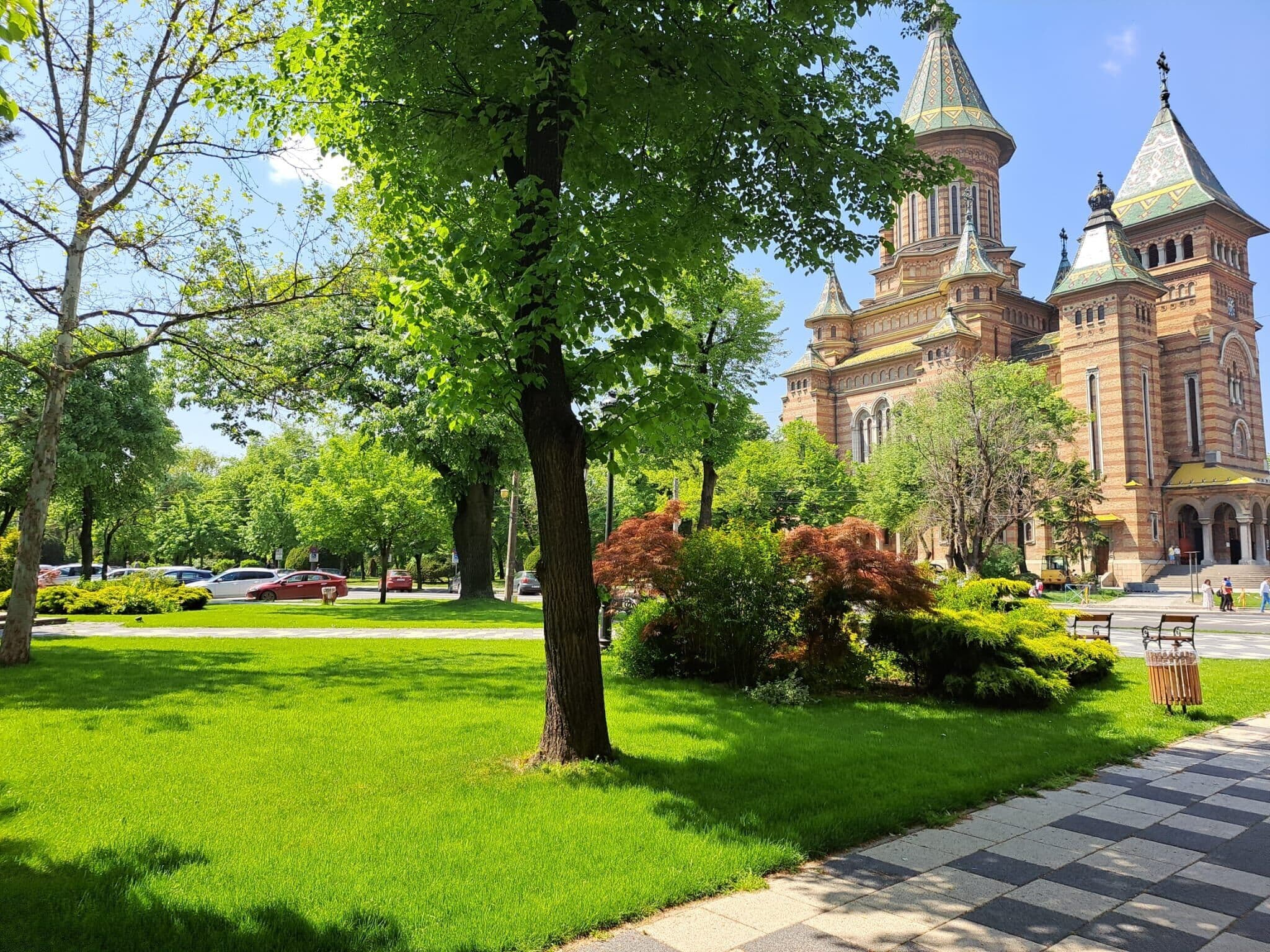 Parc verde lângă Catedrala Mitropolitană, cu un copac mare în prim-plan
